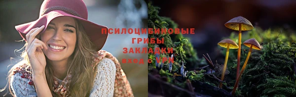 ПСИЛОЦИБИНОВЫЕ ГРИБЫ Медвежьегорск
