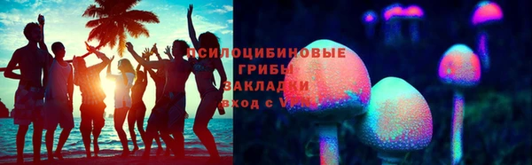 ПСИЛОЦИБИНОВЫЕ ГРИБЫ Медвежьегорск